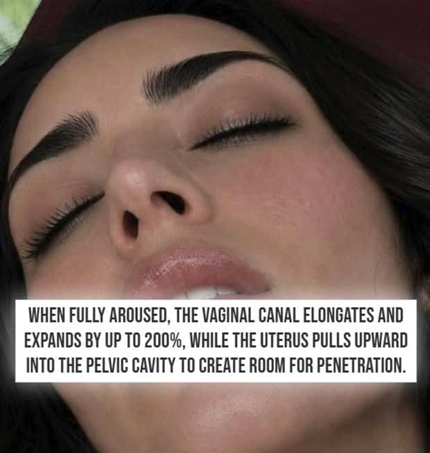 crazy nsfw facts (7)