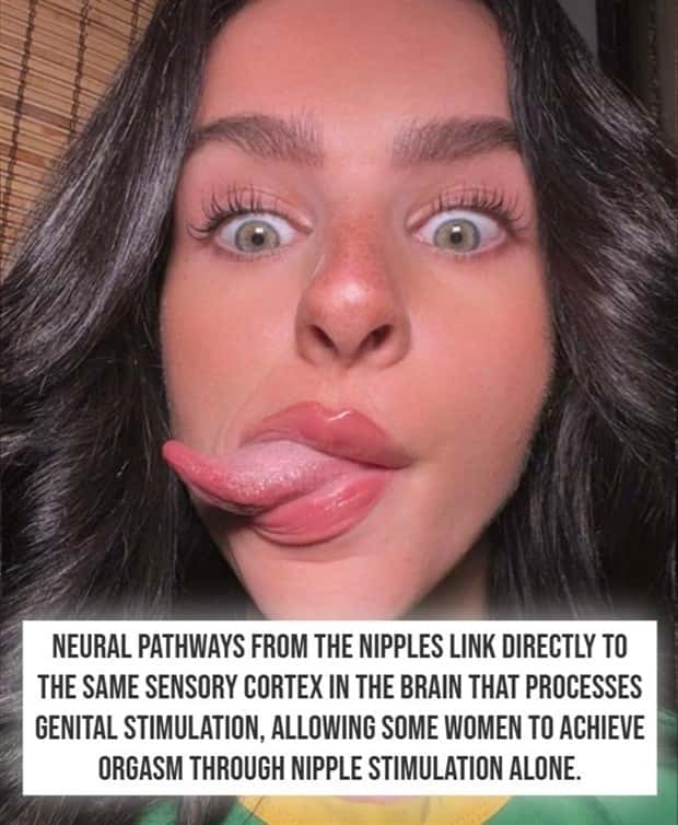 crazy nsfw facts (9)