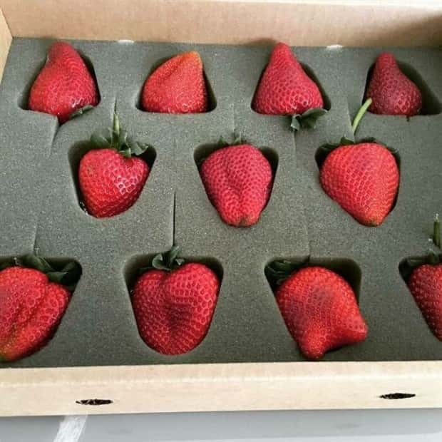 excessive packaging 4 Excessive Packaging Nobody Ever Really Needed (20 photos)