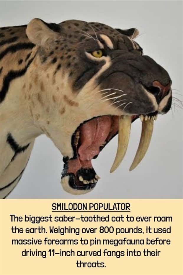 extinct beasts (1)
