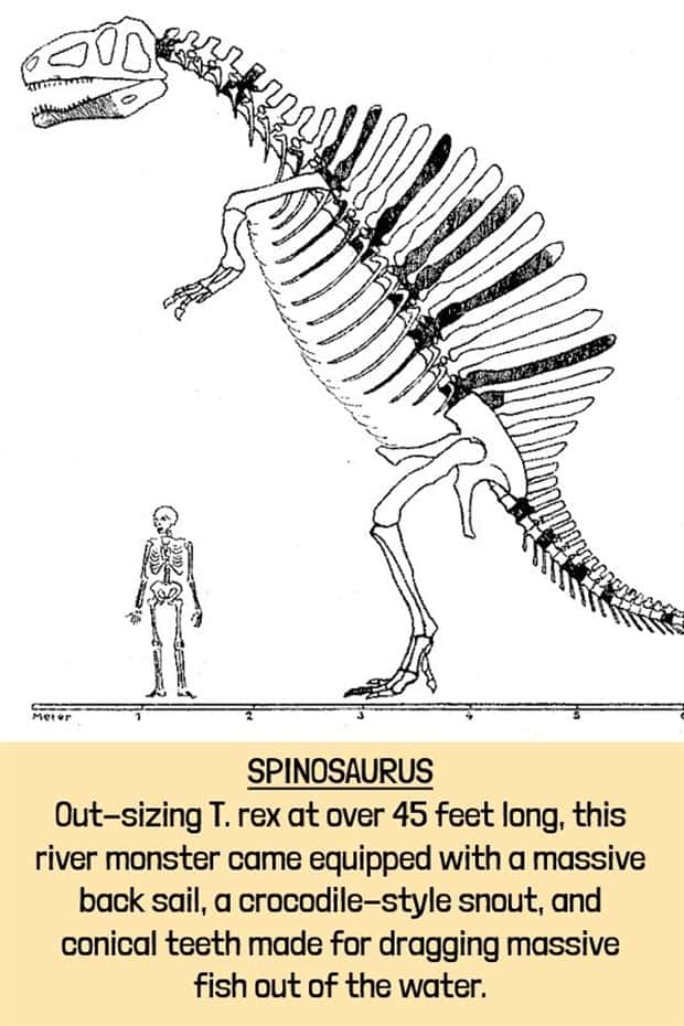 extinct beasts (11)