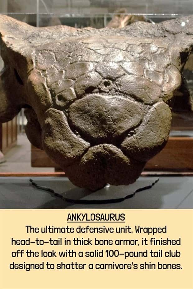 extinct beasts (12)