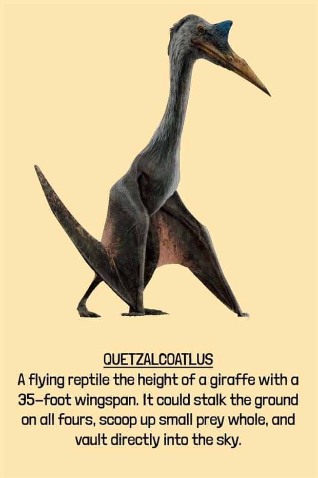 extinct beasts (14)