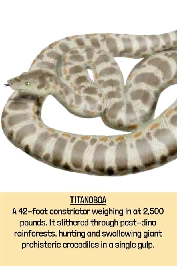 extinct beasts (16)