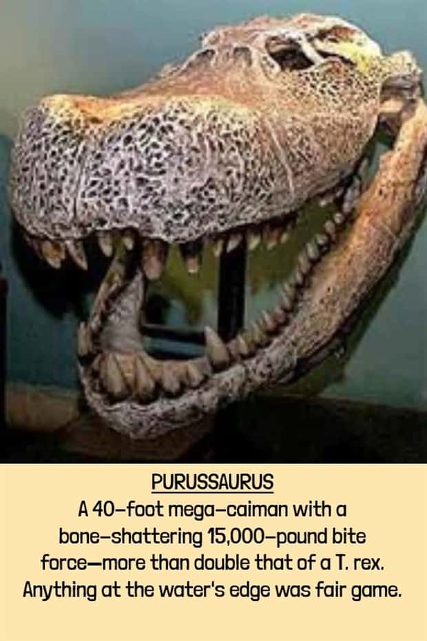 extinct beasts (17)