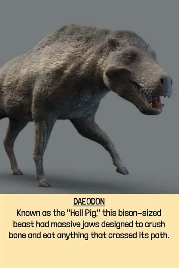 extinct beasts (19)