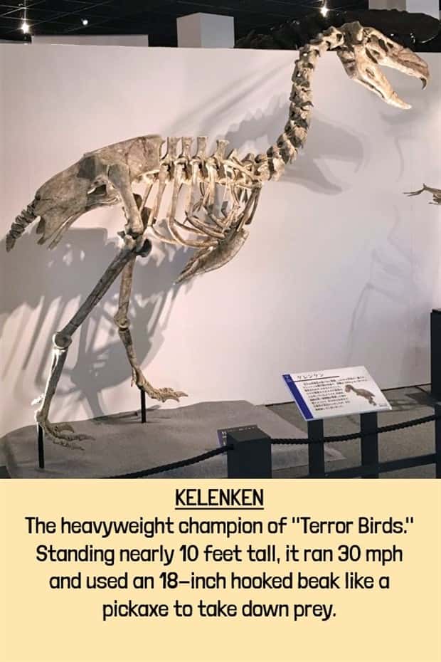 extinct beasts (2)