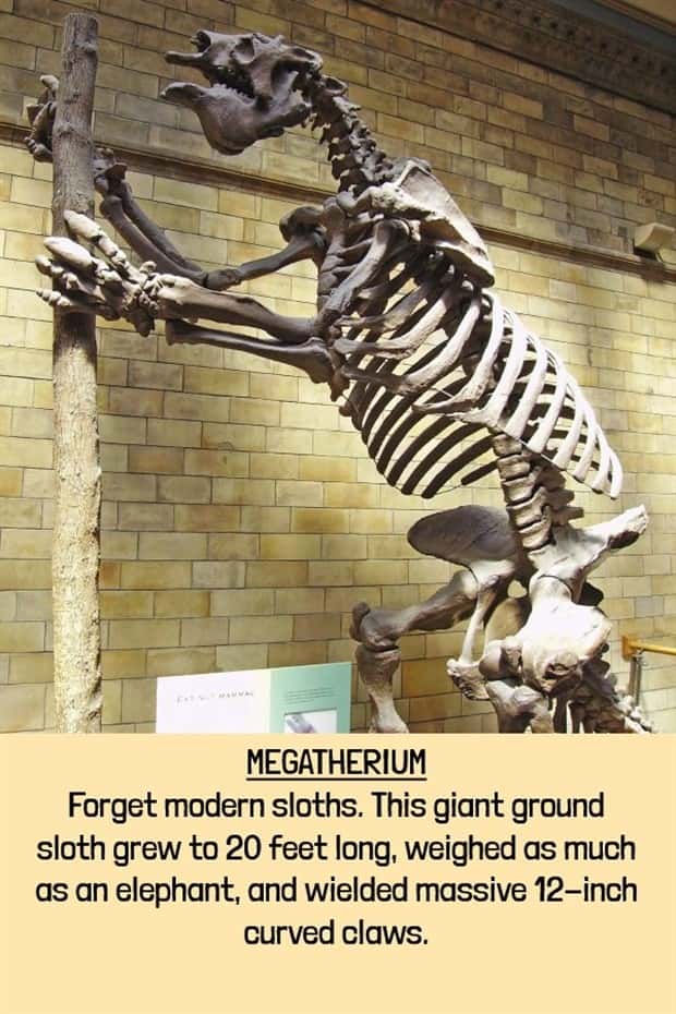 extinct beasts (20)