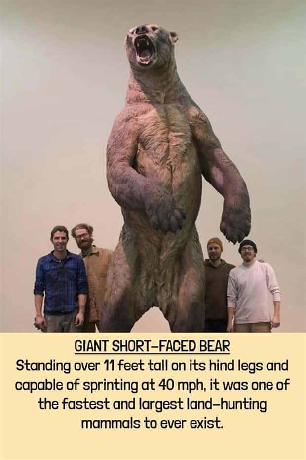 extinct beasts (3)