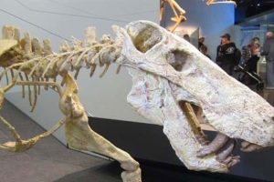 Extinct Beasts That Were Brutal Killing Machines (20 photos)