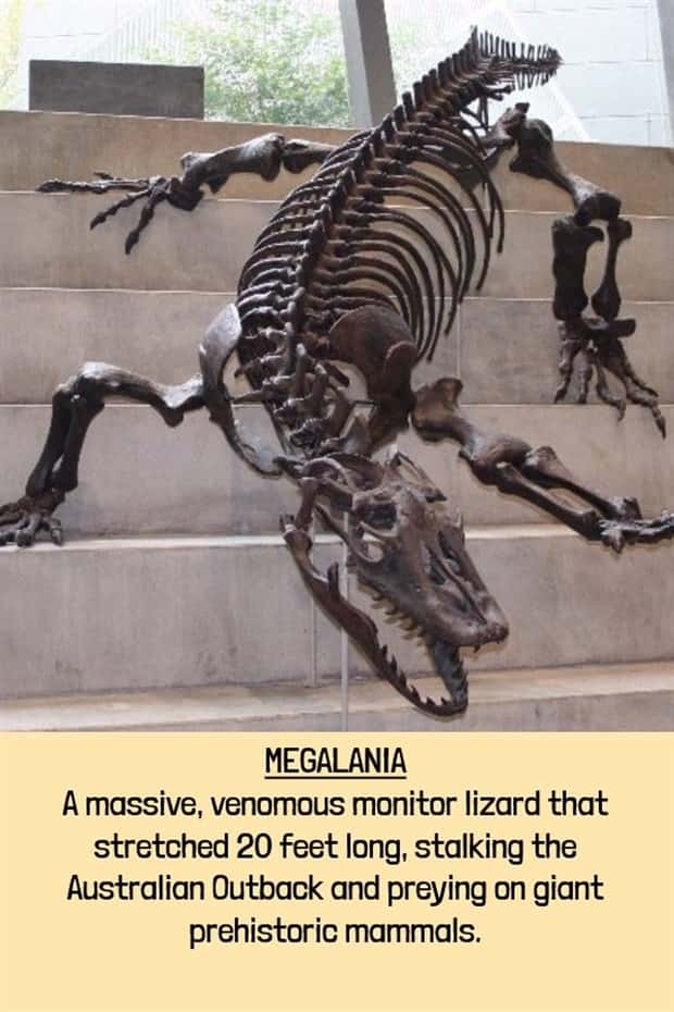 extinct beasts (4)