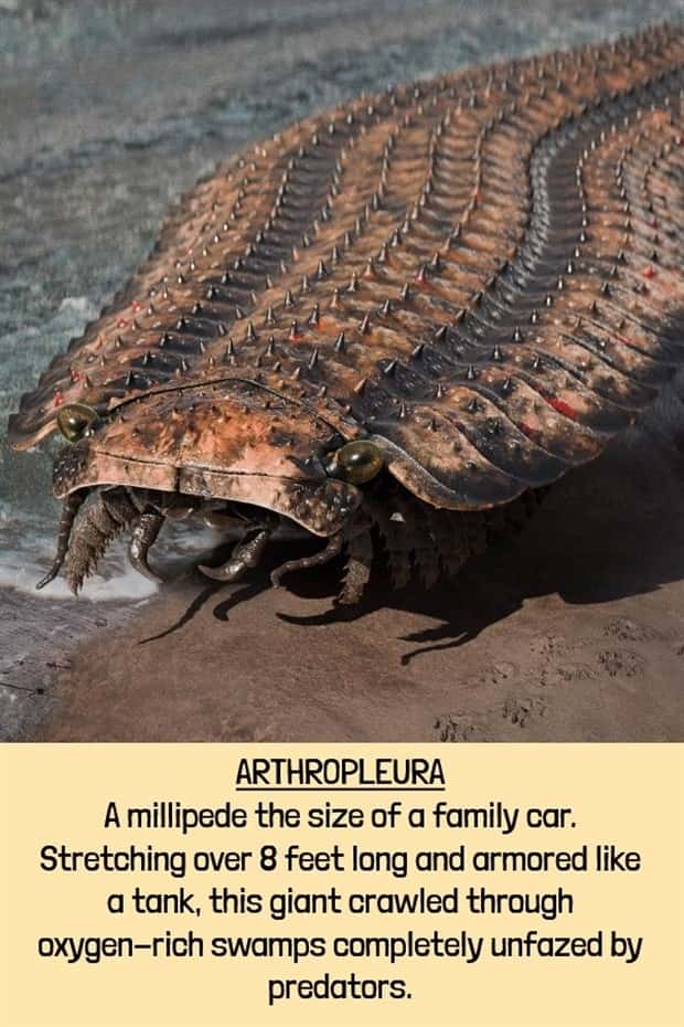 extinct beasts (9)