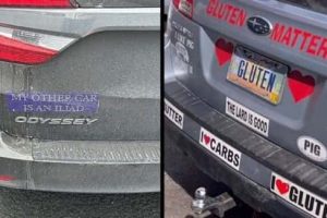 Funny Bumper Stickers That Steal Attention (19 photos)