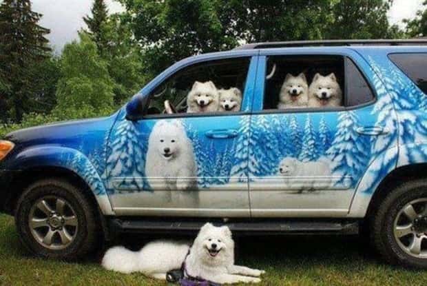 funny animals 19 Get Ready for Funny Animals #449 (20 photos)