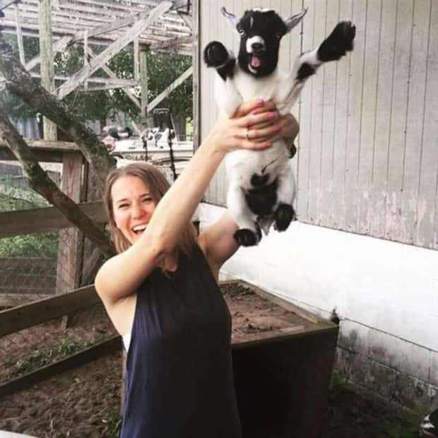 funny animals (5)