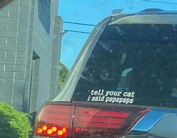 funny bumper stickers 9 29 25 5 Funny Bumper Stickers That Steal Attention (19 photos)