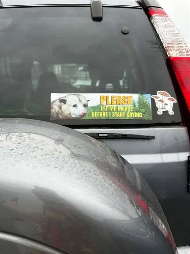 funny bumper stickers 9 29 25 6 Funny Bumper Stickers That Steal Attention (19 photos)