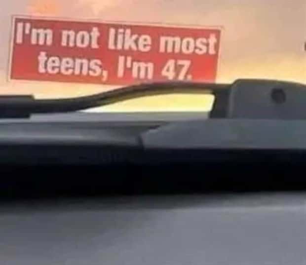 funny bumper stickers 9 29 25 7 Funny Bumper Stickers That Steal Attention (19 photos)