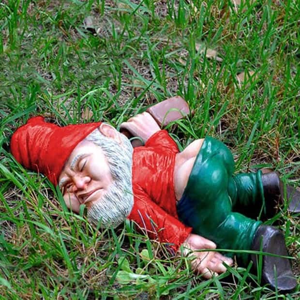 funny garden gnomes (18)