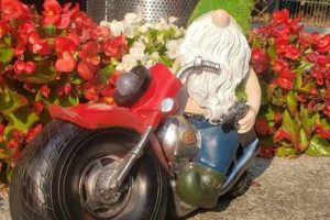 These Garden Gnomes Couldn’t Care Less (22 photos)