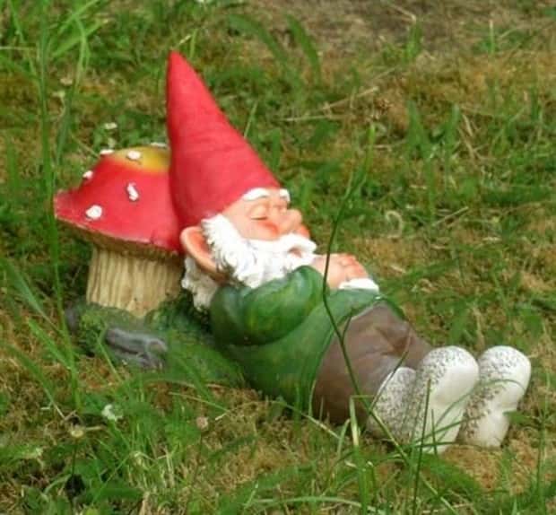 funny garden gnomes (21)