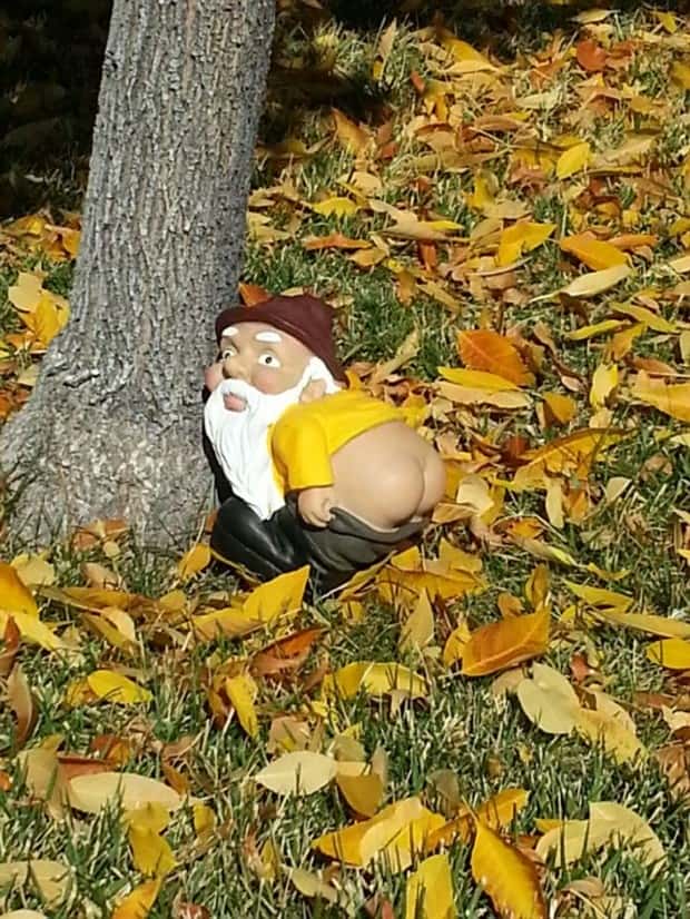 funny garden gnomes (9)