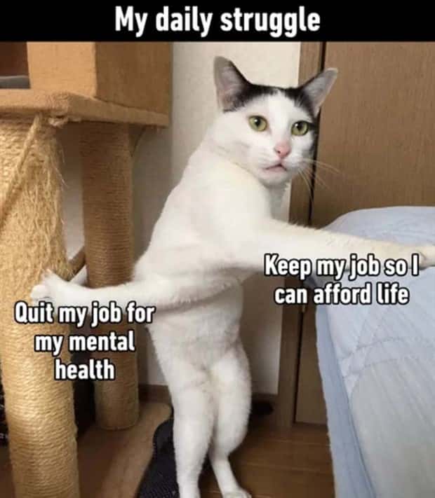 funny memes (10)