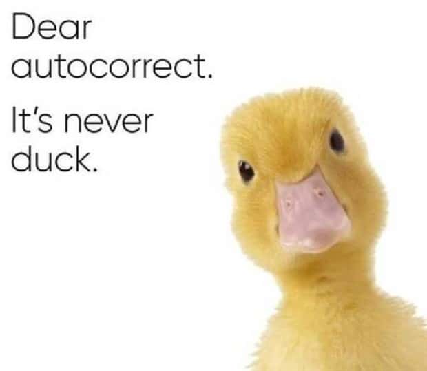 funny memes (13)