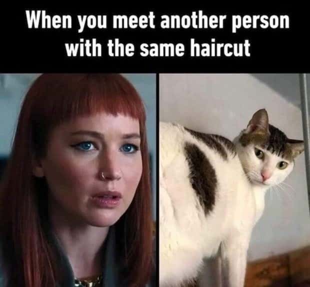 funny memes (5)