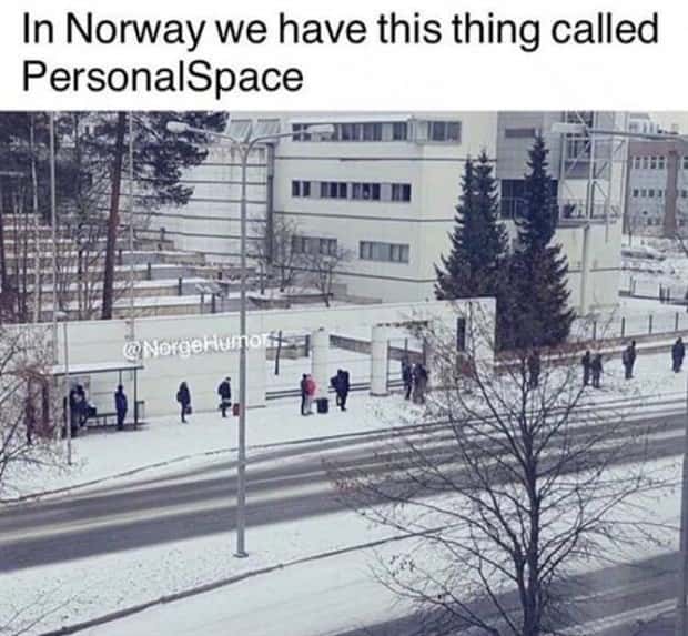 funny memes (7)