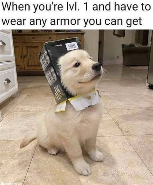 funny memes (8)