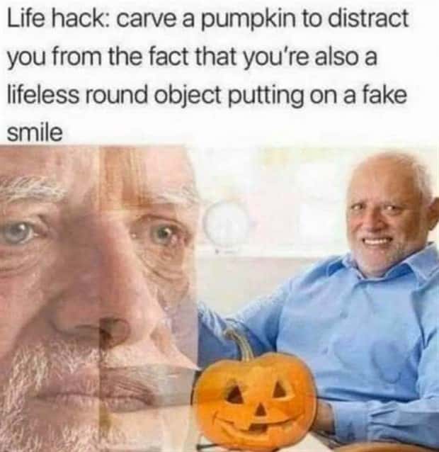 funny memes and pics (12)