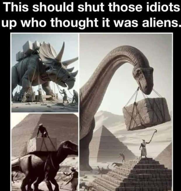 funny memes and pics (17)