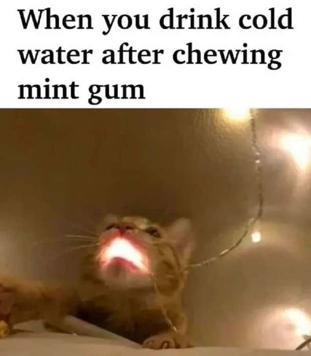 funny memes and pics (4)