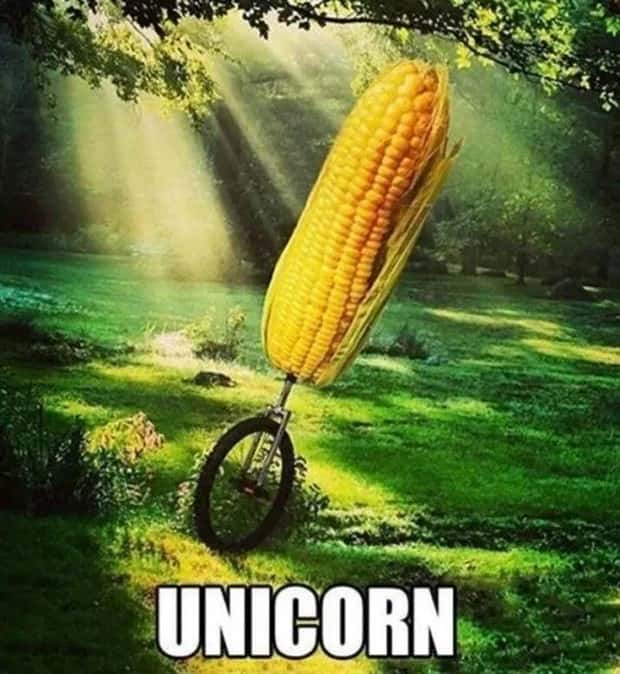 funny memes and pics (5)
