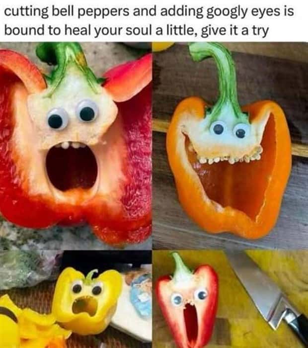 funny memes and pics (9)