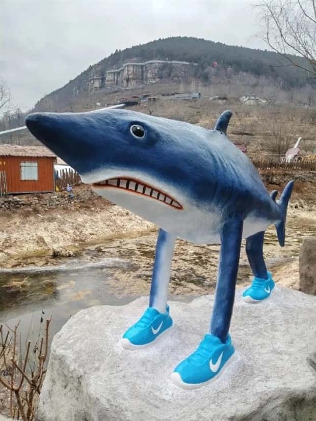 funny yet trashy concepts (3)