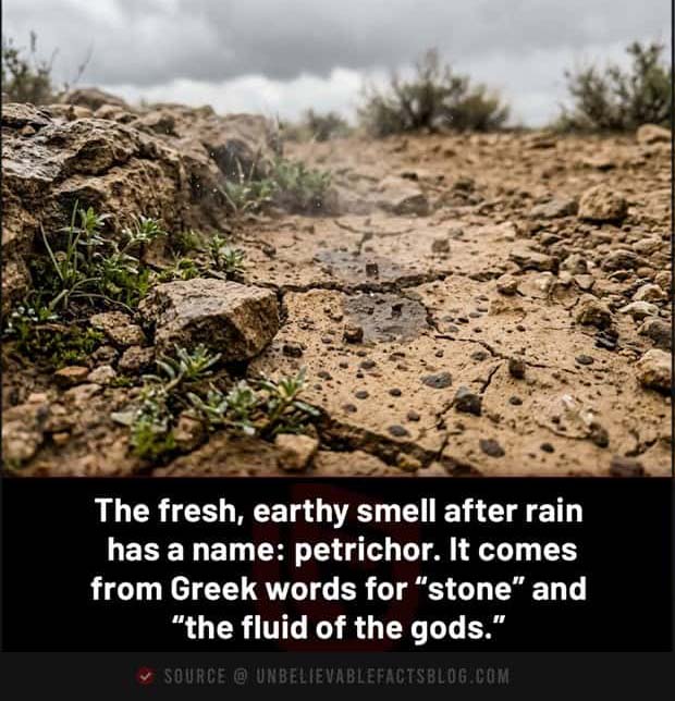 interesting facts (14)