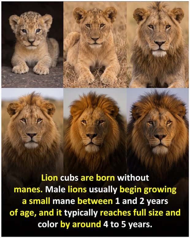 interesting facts (16)