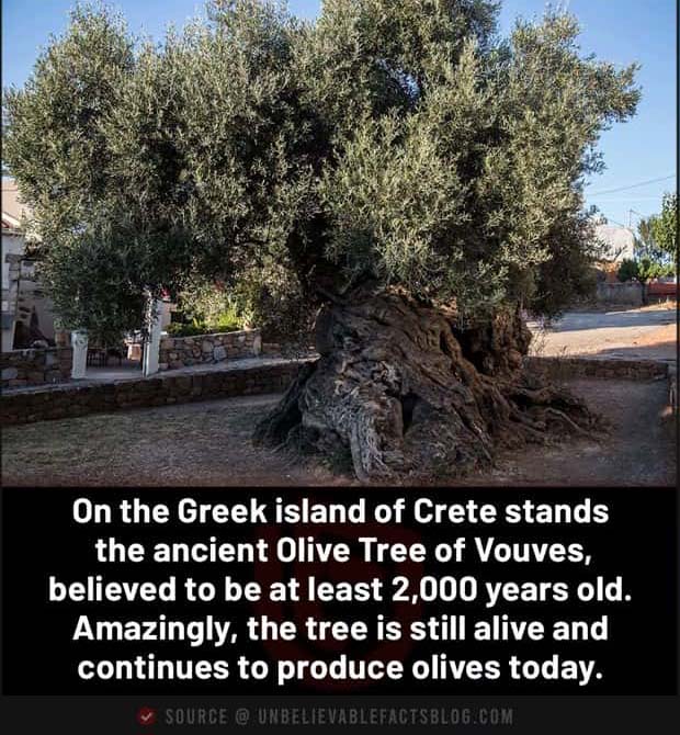 interesting facts (18)