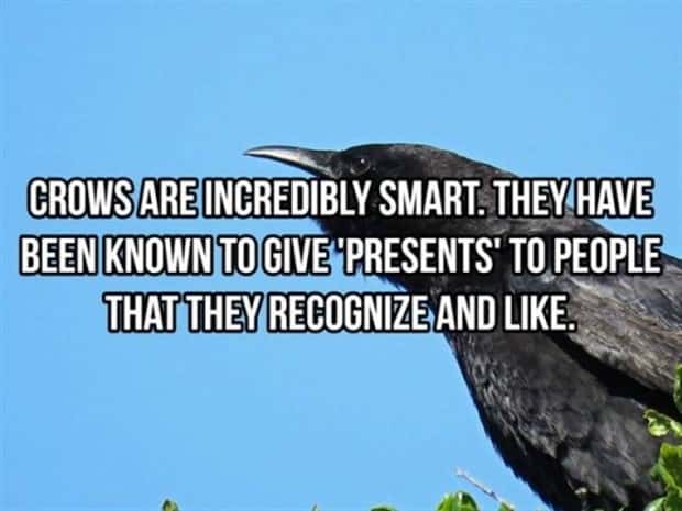 interesting facts (21)