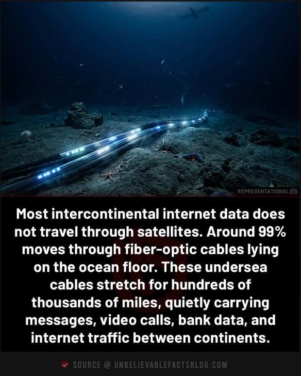 interesting facts (3)