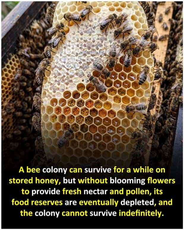 interesting facts (4)
