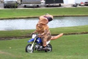 Klyker Picdump #2058 (43 photos)