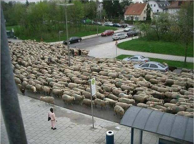 Klyker Picdump #2043 (43 photos)
