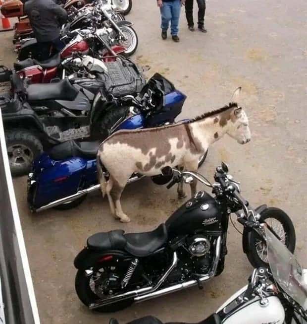 Klyker Picdump #2043 (43 photos)