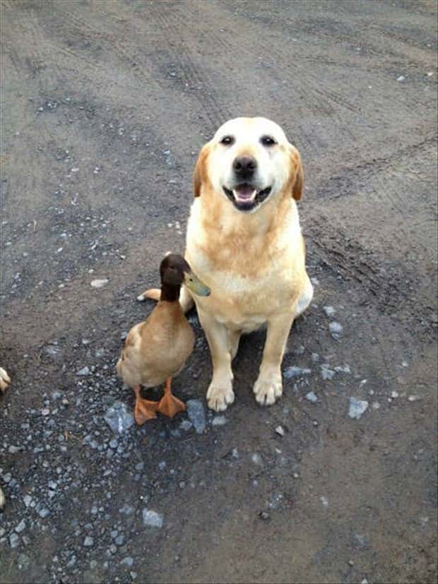 Klyker Picdump #2043 (43 photos)