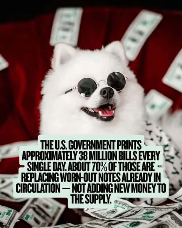 money facts (13)