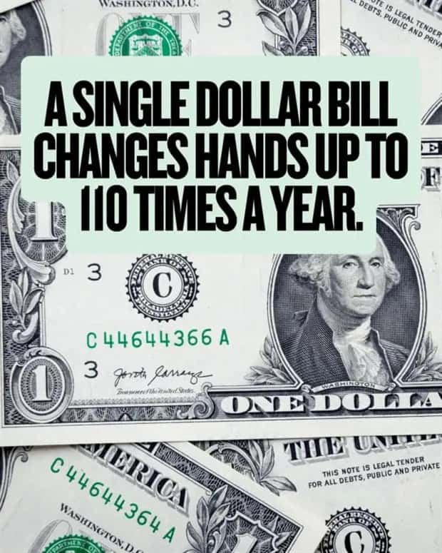 money facts (14)