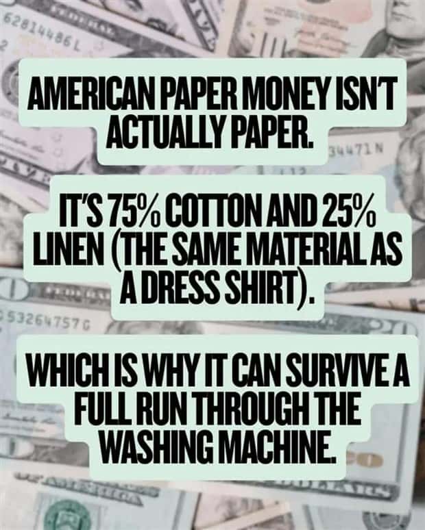 money facts (2)